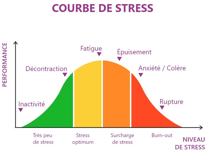 Stress curve: very little stress (inactivity), optimum stress (tiredness), stress overload (exhaustion) and burnout (anxiety/anger, breaking point)